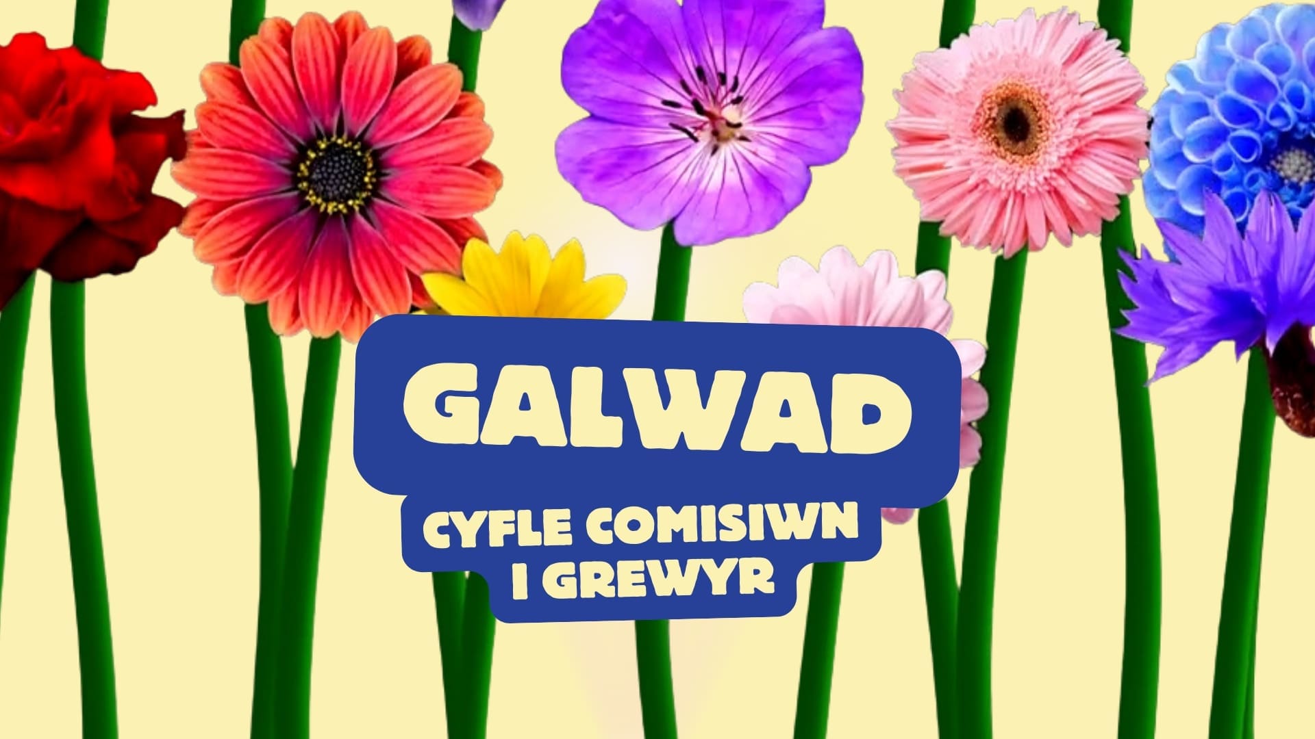 Galwad